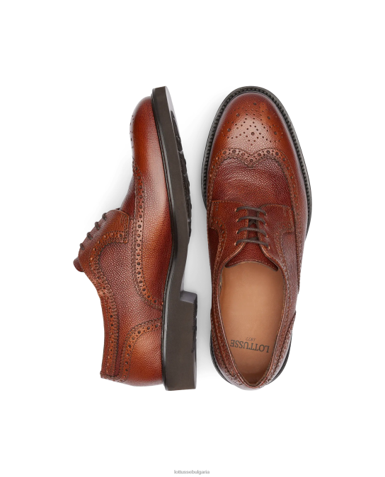 кафяво Lottusse мъже baltimore embossy grain calf derby F64VD159